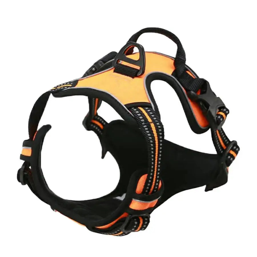 Harnais Anti-Traction pour Grand Chien