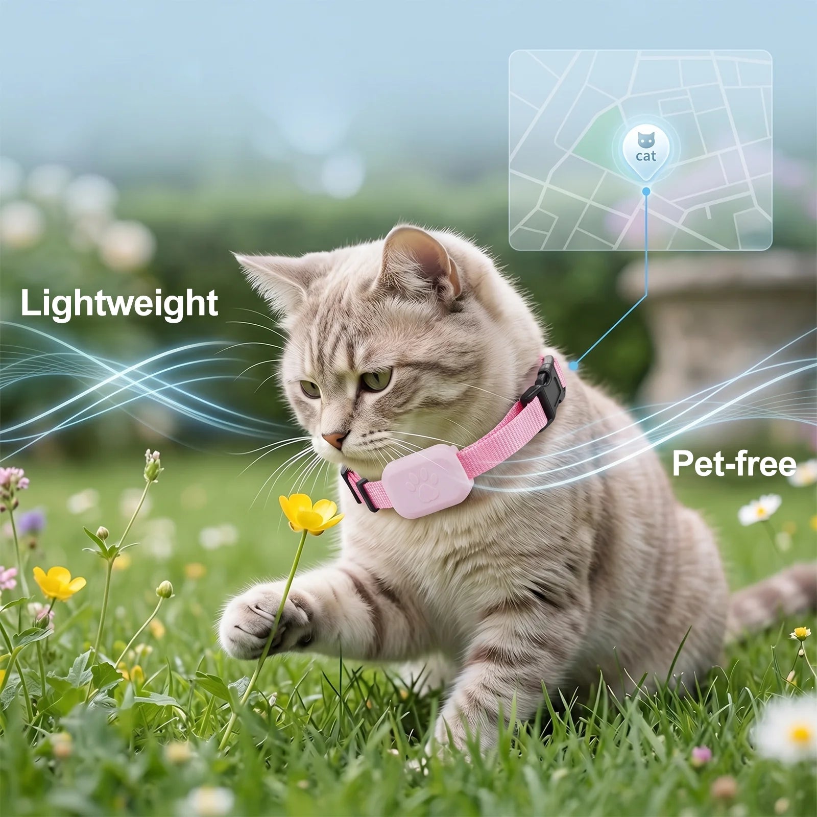 Traceur GPS pour Chien & Chat