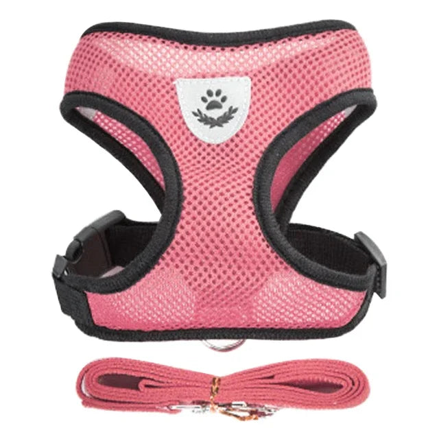 Harnais & Laisse pour Chat & Petit Chien