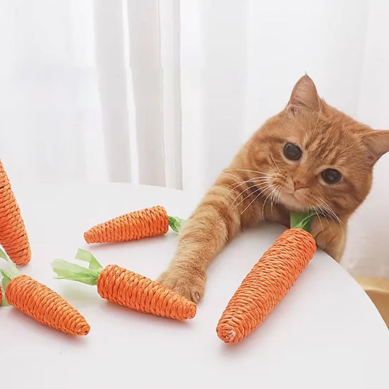 Jouet Carotte pour Chat