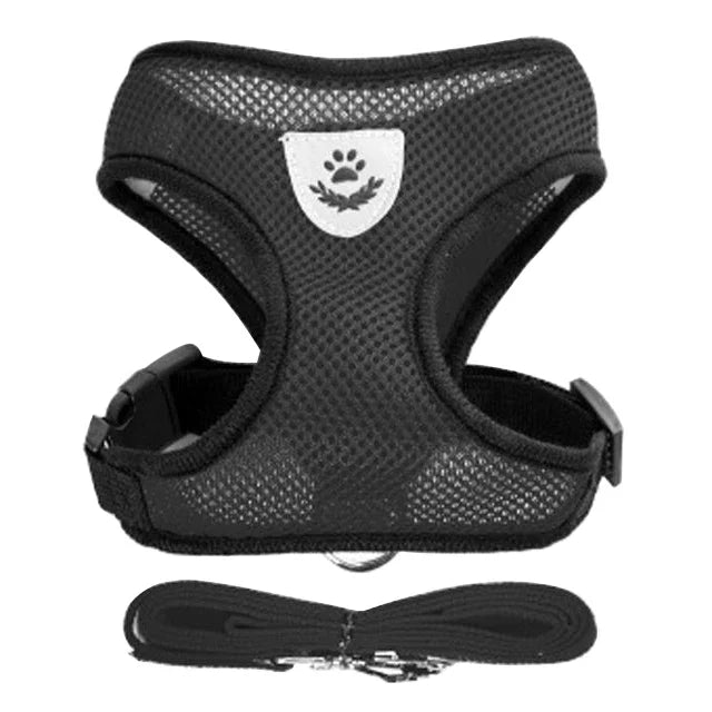 Harnais & Laisse pour Chat & Petit Chien