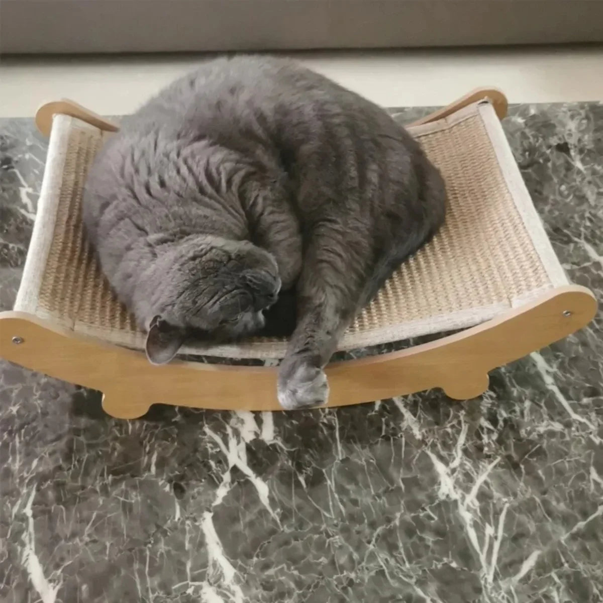 Griffoir en Bois pour Chat
