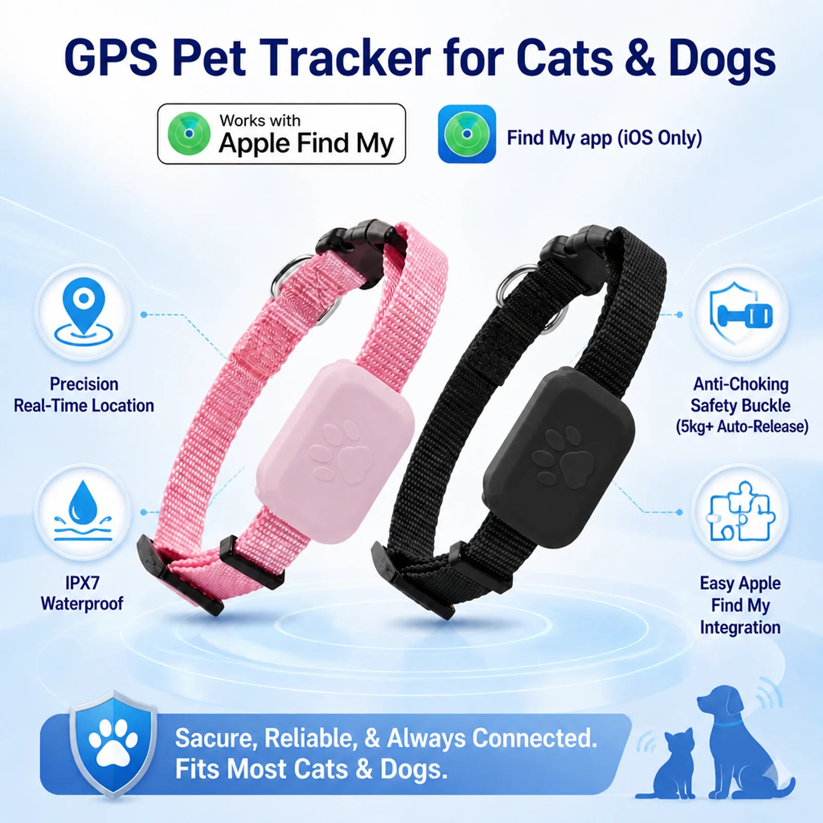 Traceur GPS pour Chien & Chat