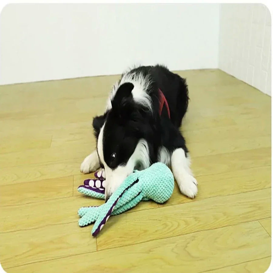 Peluche Pieuvre Sonore pour Chien
