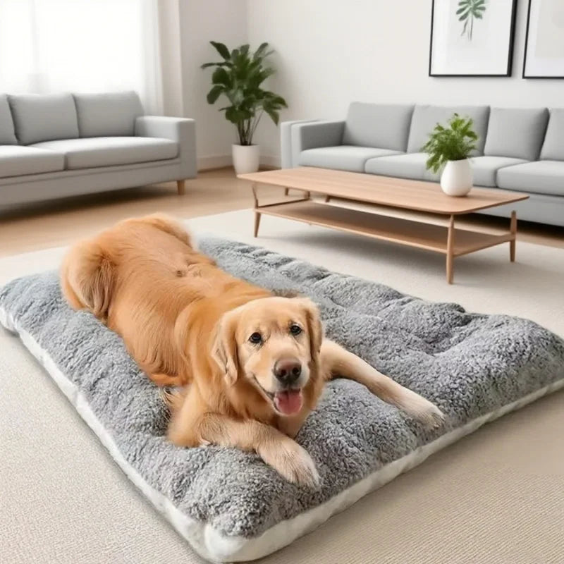Grand Coussin Matelas pour Chien