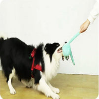 Peluche Pieuvre Sonore pour Chien