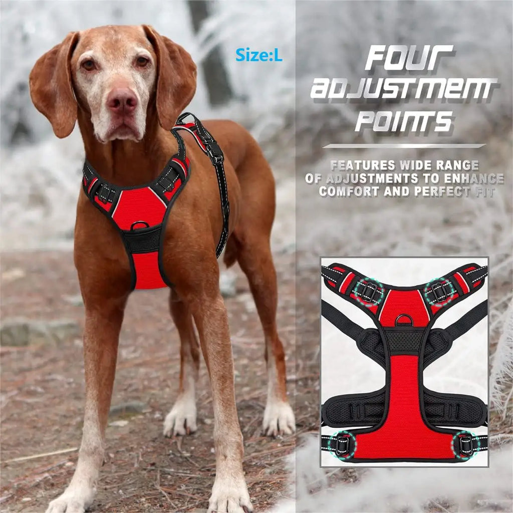 Harnais Anti-Traction pour Grand Chien