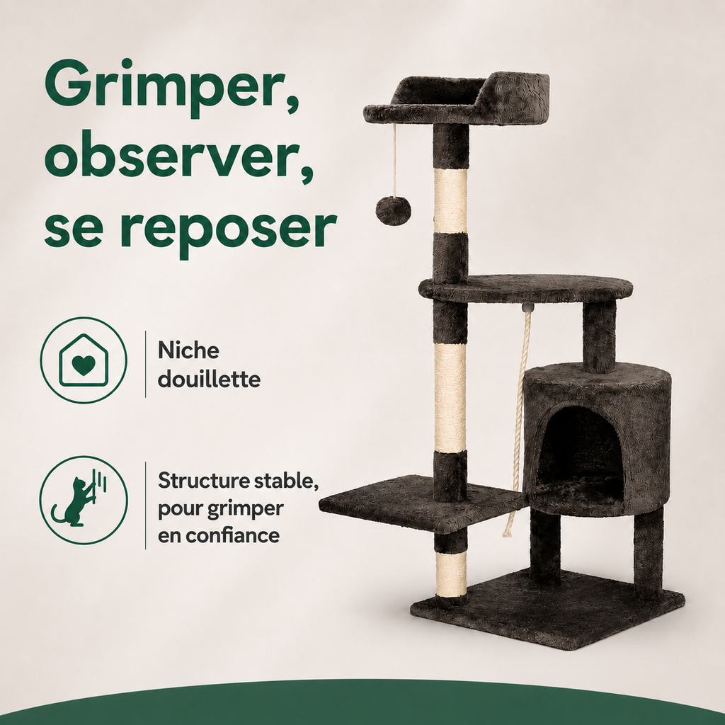 Arbre à Chat Multi-Niveaux — bénéfices