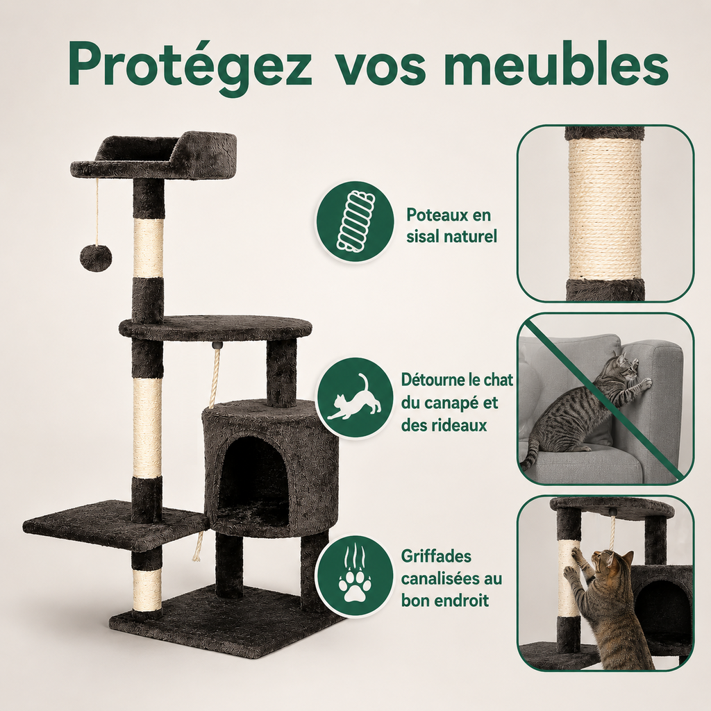 Arbre à Chat Multi-Niveaux — caractéristiques principales