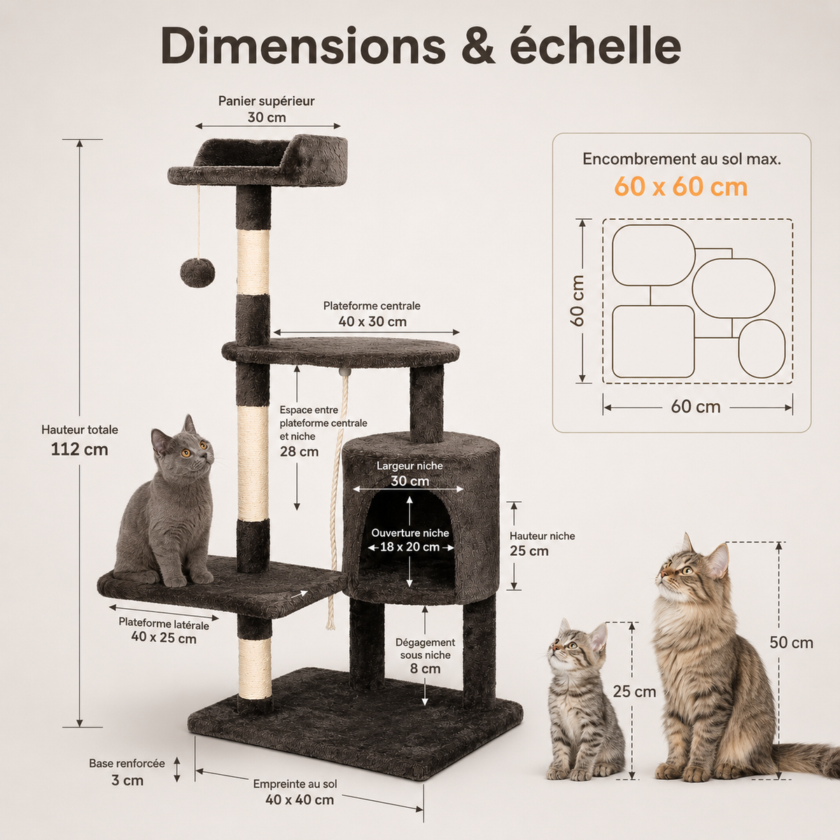 Arbre à Chat Multi-Niveaux et ses dimensions