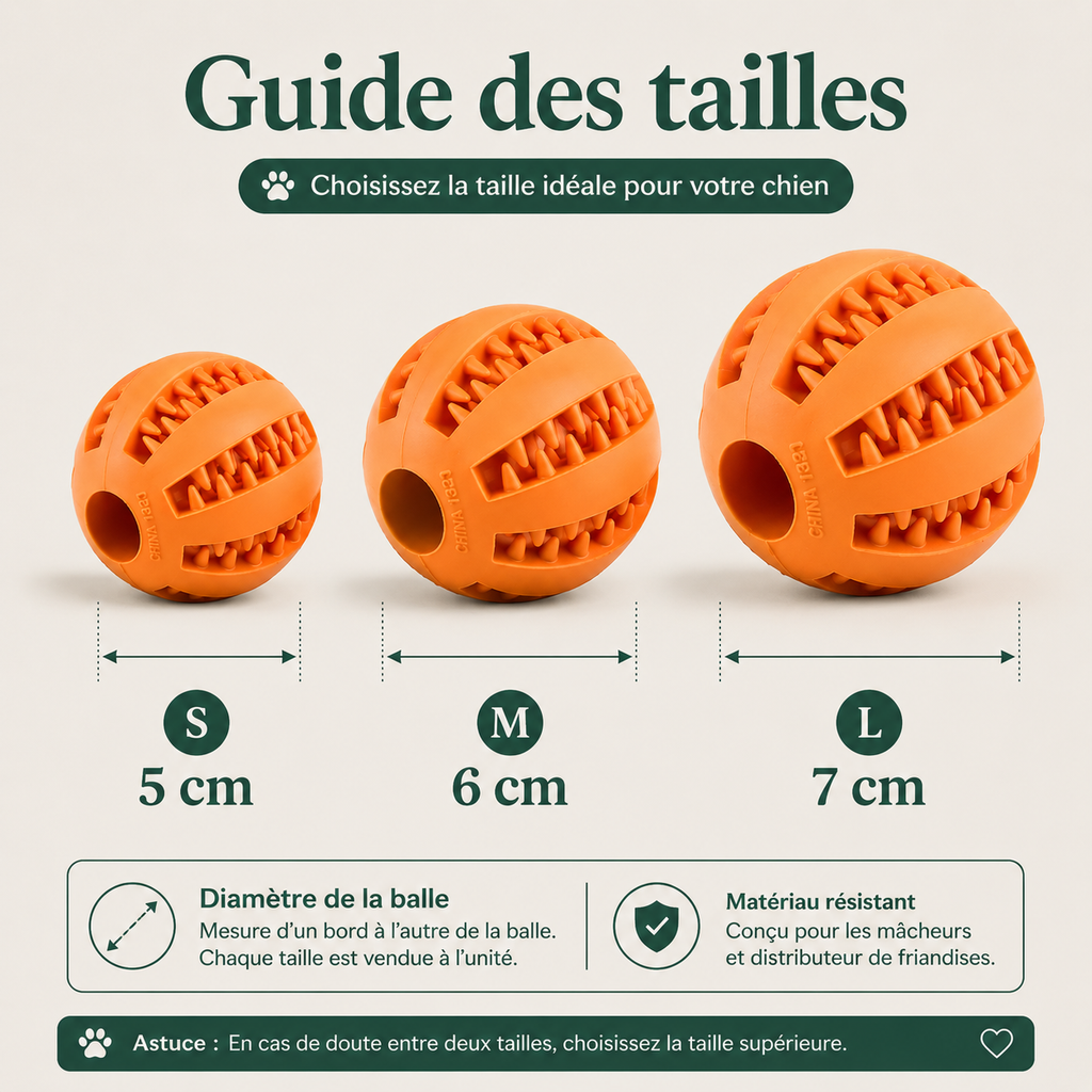 Balle Distributrice pour Chien et ses dimensions