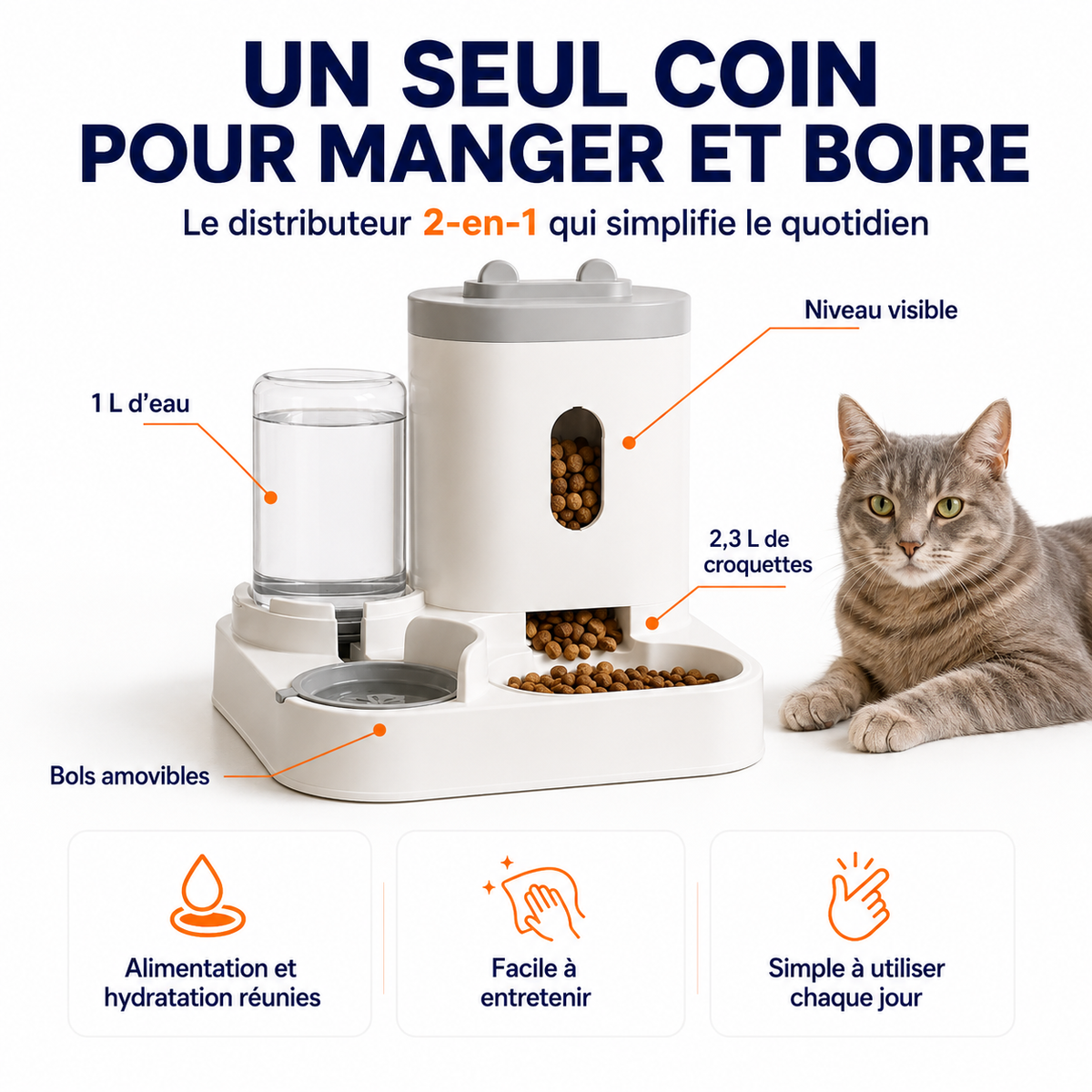 Distributeur de Croquettes avec Fontaine à Eau