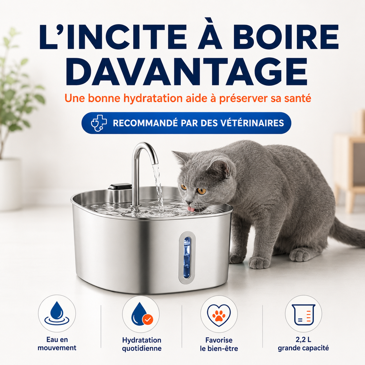 Fontaine à Eau pour Chat