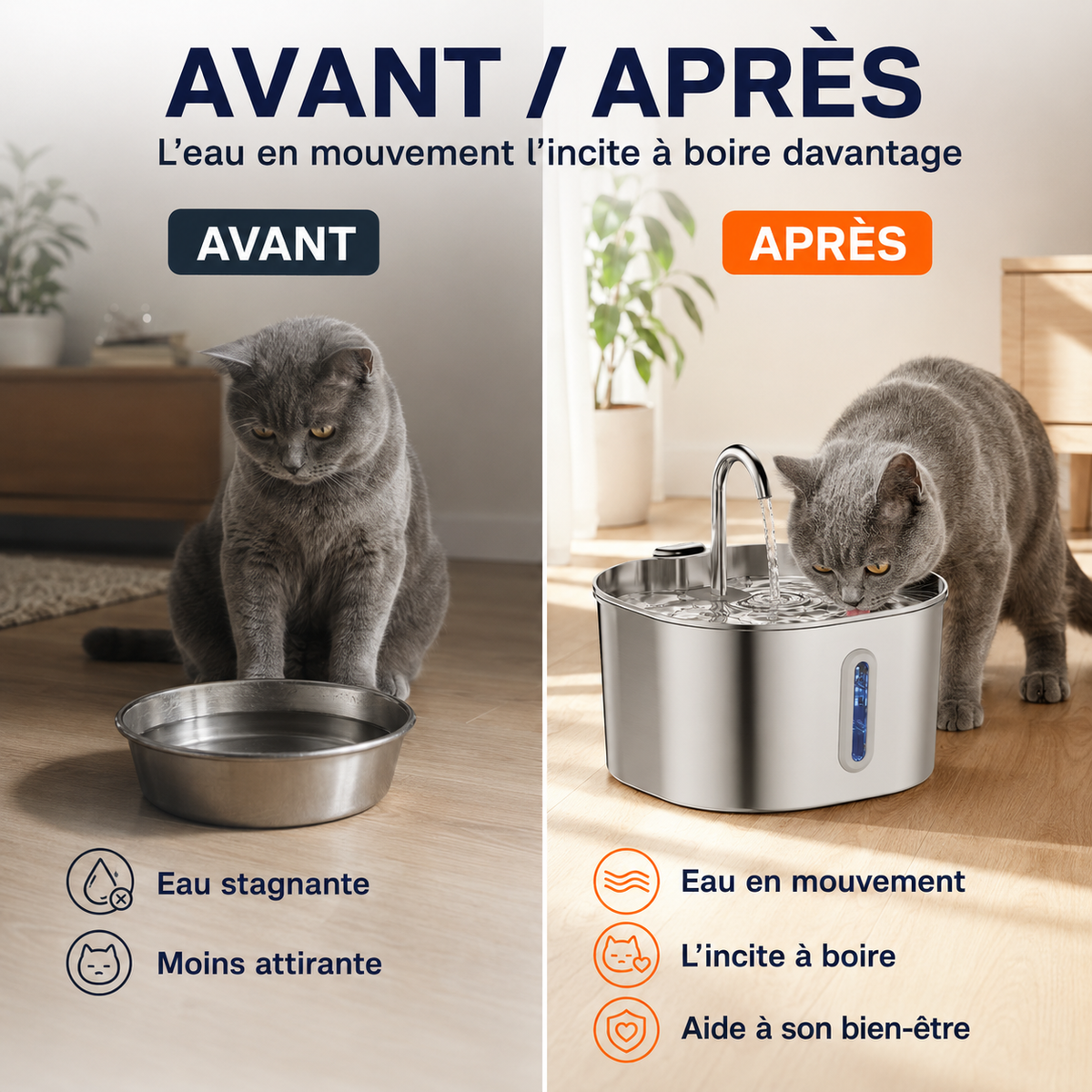 Fontaine à Eau pour Chat