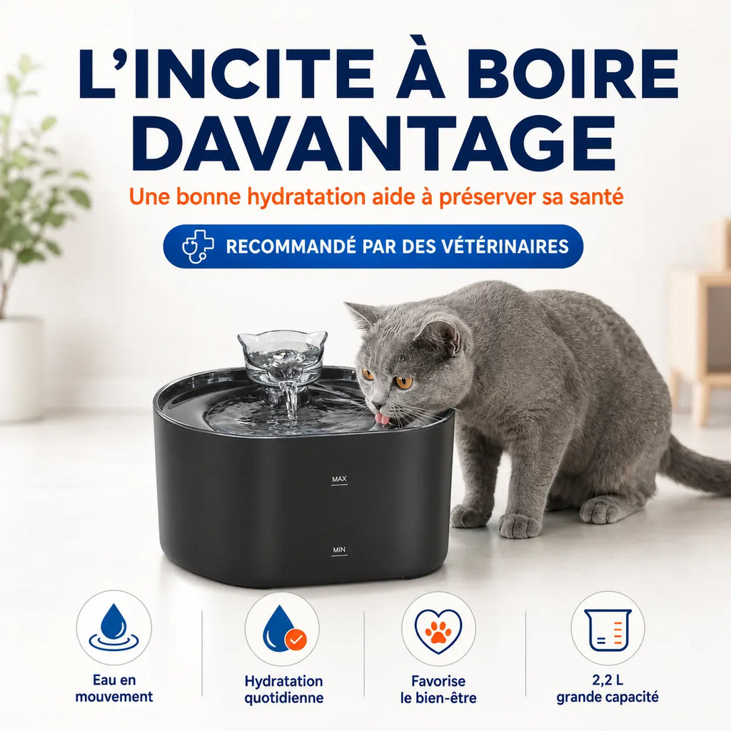 Fontaine à Eau pour Chat 2,2L – Silencieuse