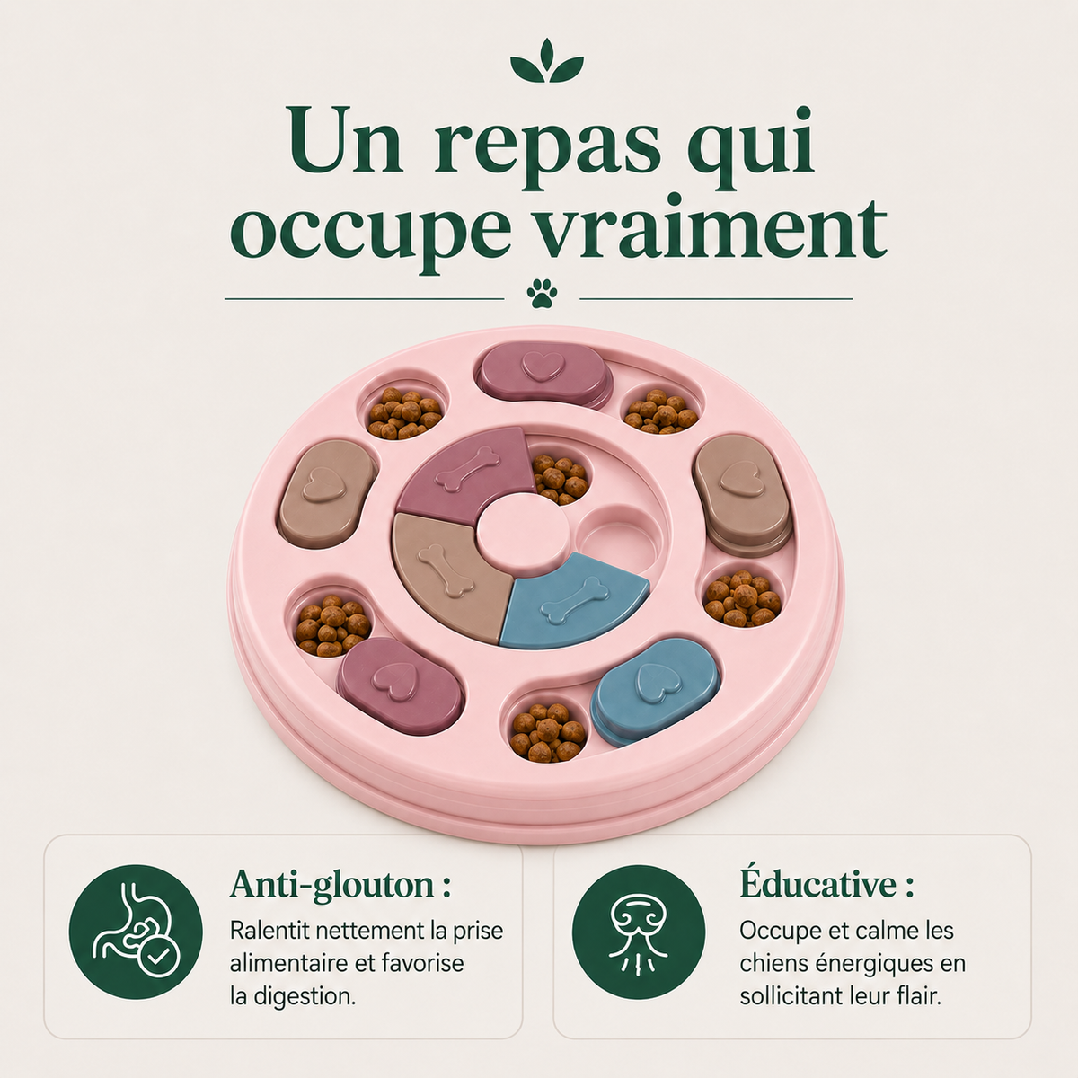 Gamelle Anti-Glouton pour Chien — caractéristiques principales