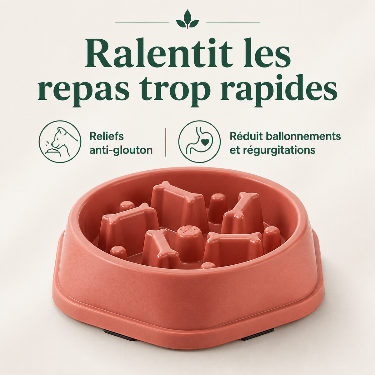 Gamelle Anti-Glouton pour Chien & Chat — caractéristiques principales