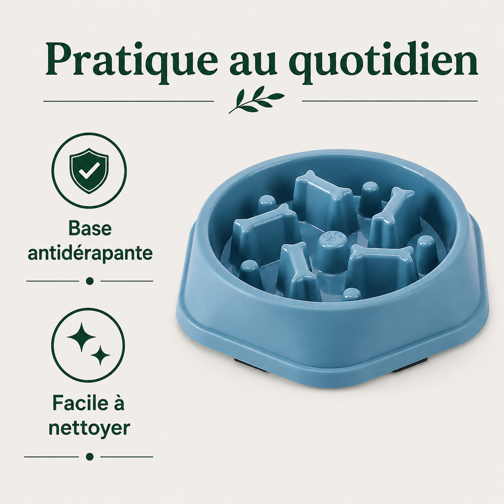 Gamelle Anti-Glouton pour Chien & Chat — caractéristiques principales