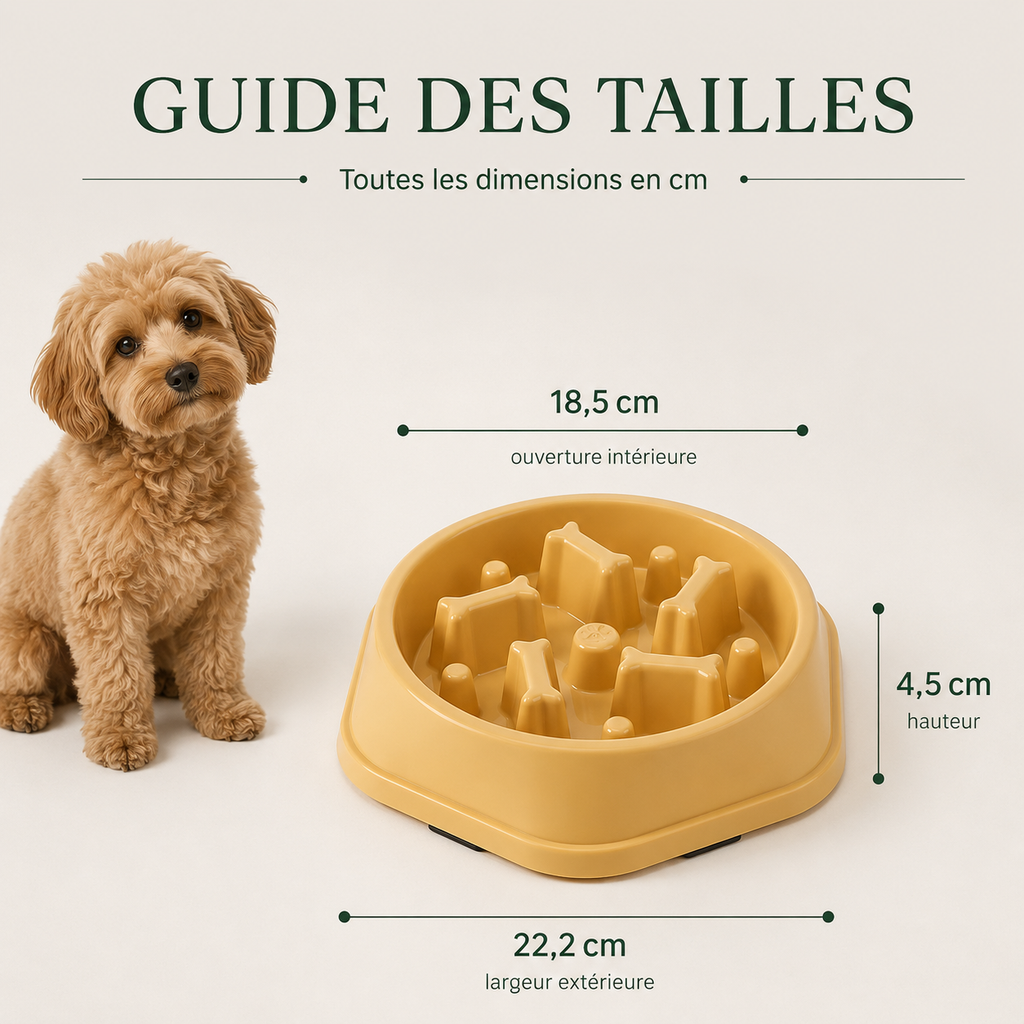 Gamelle Anti-Glouton pour Chien & Chat et ses dimensions