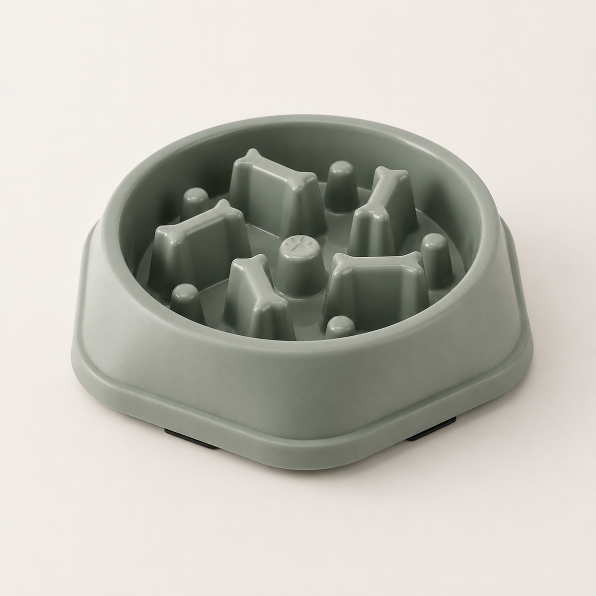 Gamelle Anti-Glouton pour Chien & Chat