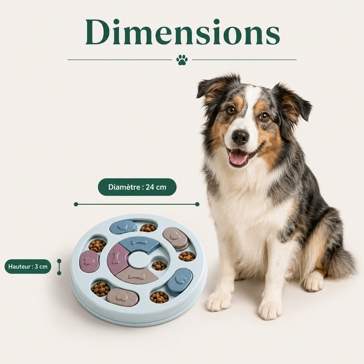 Gamelle Anti-Glouton pour Chien et ses dimensions