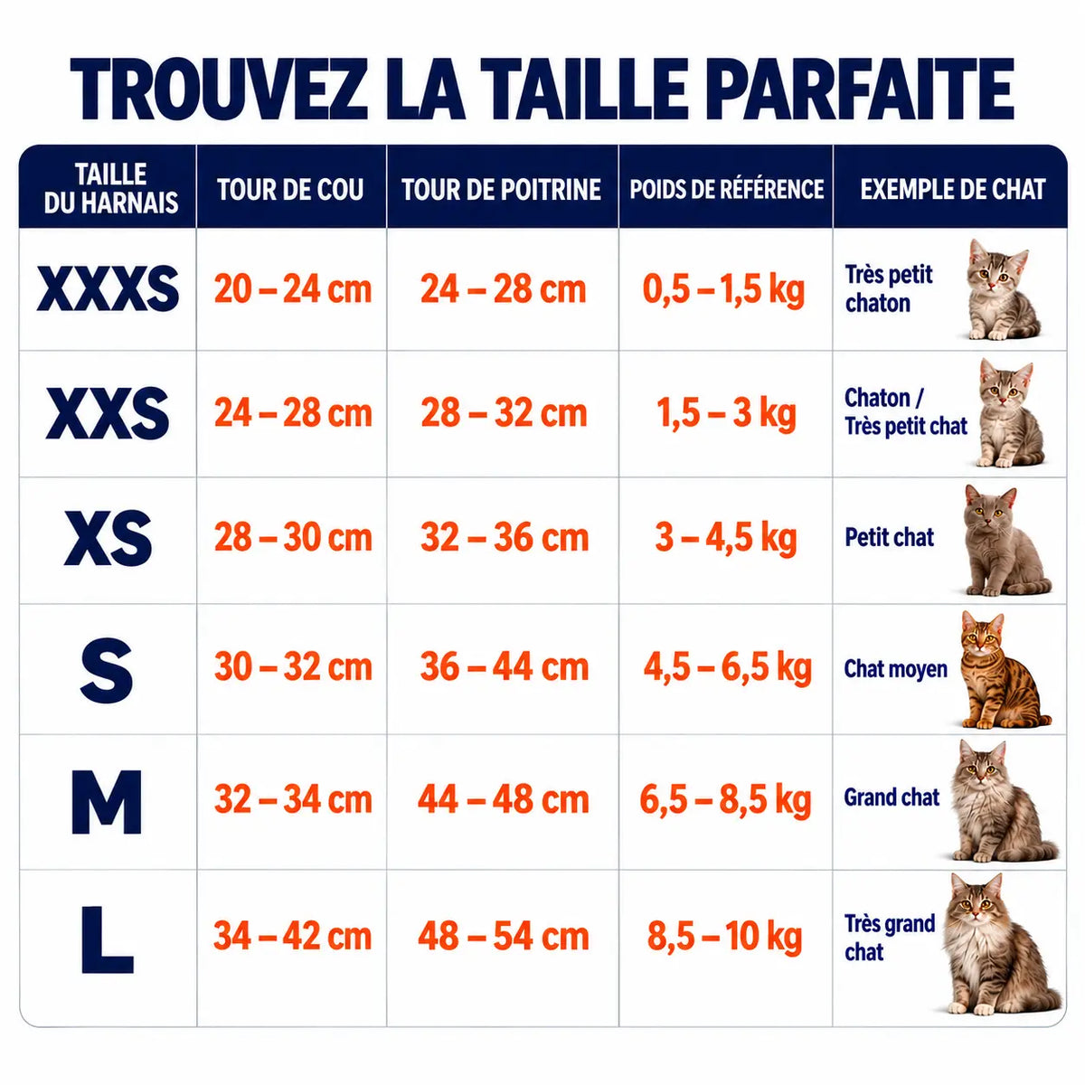 Harnais Anti-Fugue pour Chat