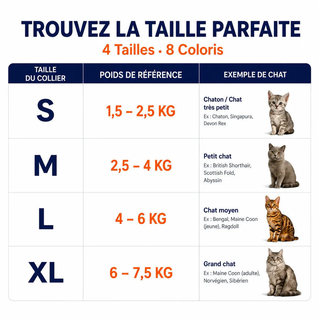 Harnais pour Chat