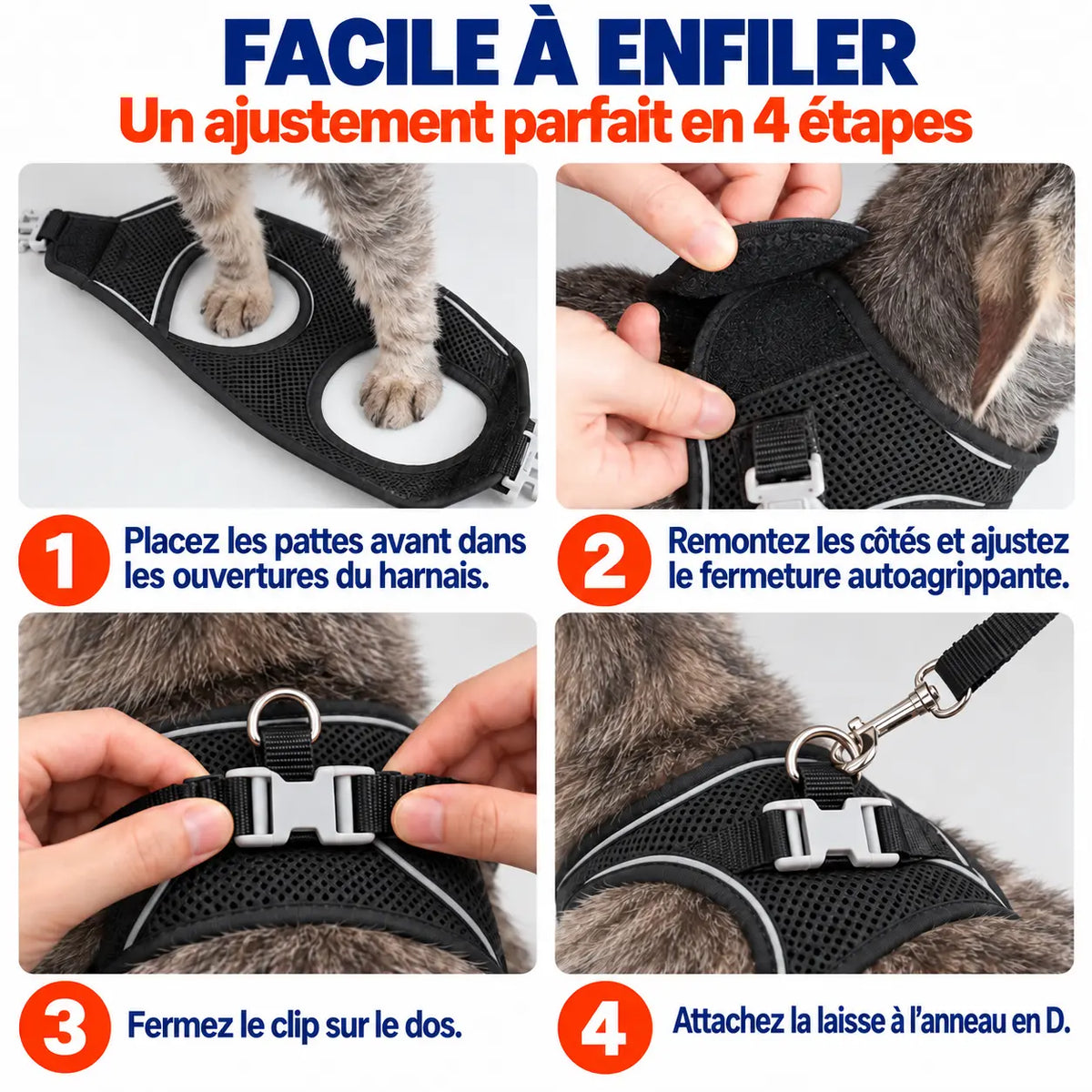 Harnais Anti-Fugue pour Chat