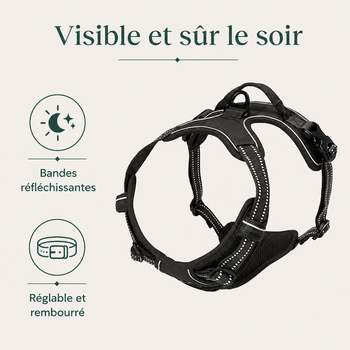 Harnais Anti-Traction pour Chien — bénéfices