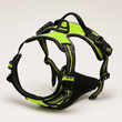 Harnais Anti-Traction pour Chien