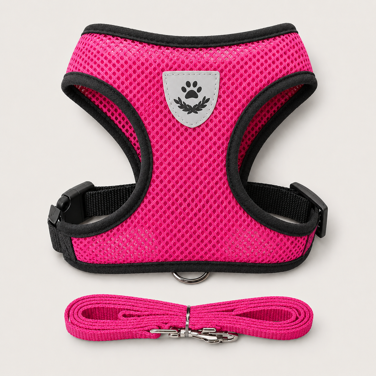 Harnais & Laisse pour Chat & Petit Chien