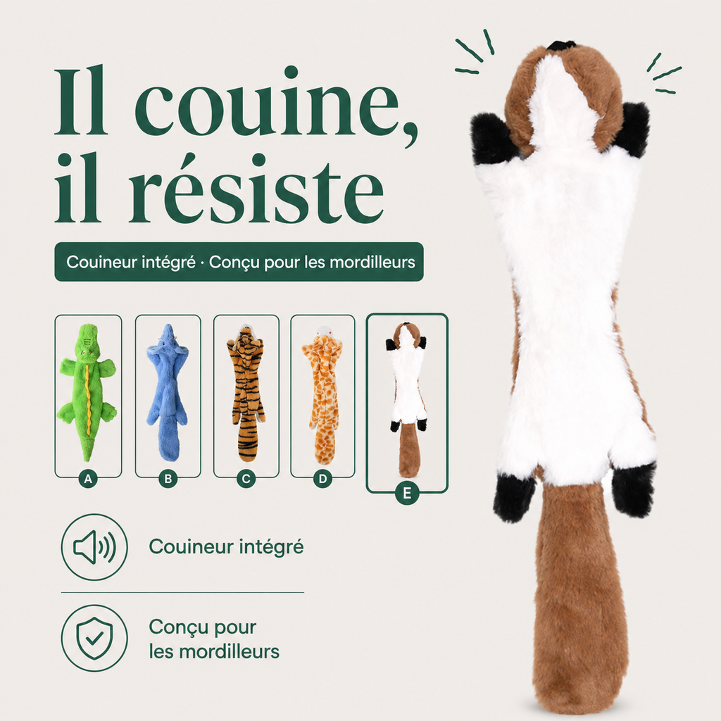 Jouet pour Chien Sans Rembourrage — caractéristiques principales