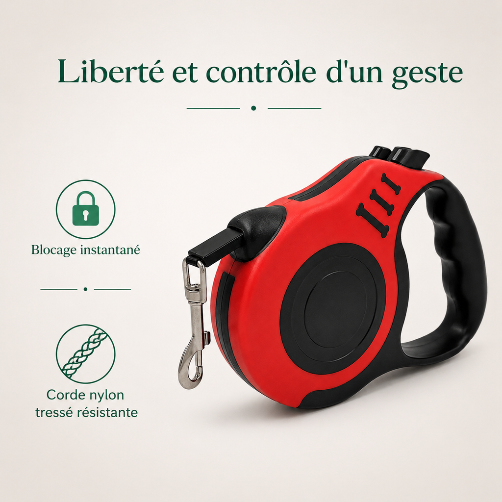 Laisse Rétractable pour Chien — caractéristiques principales