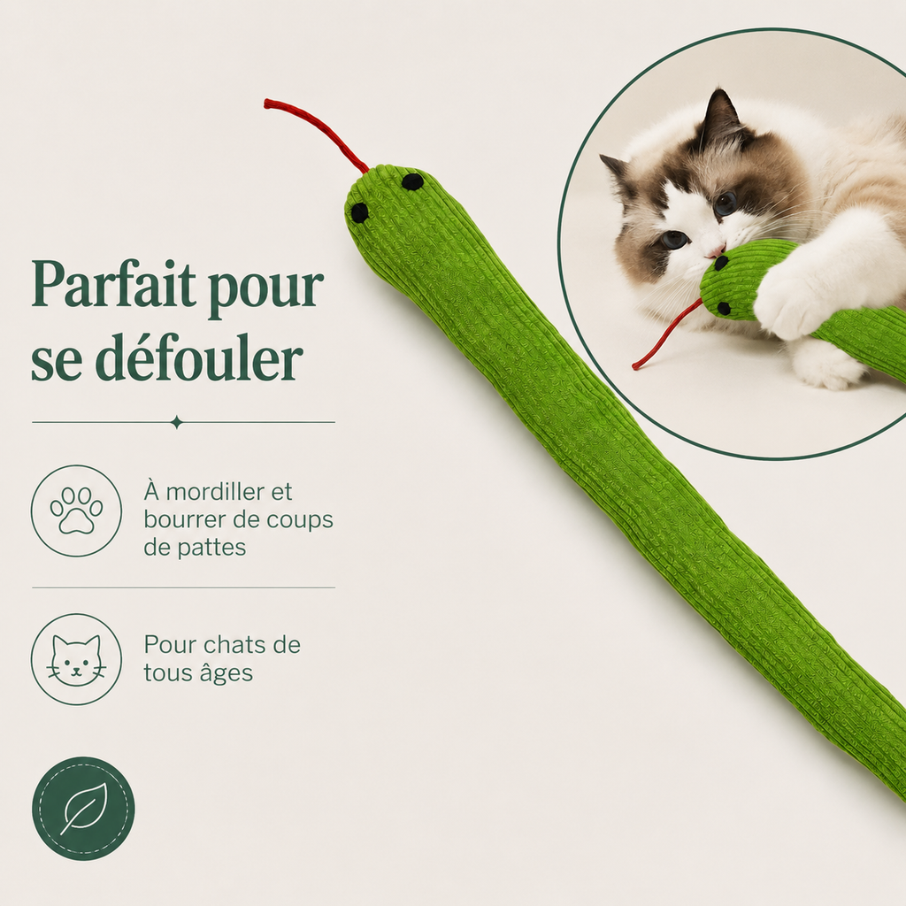 Serpent Interactif pour Chat — caractéristiques principales