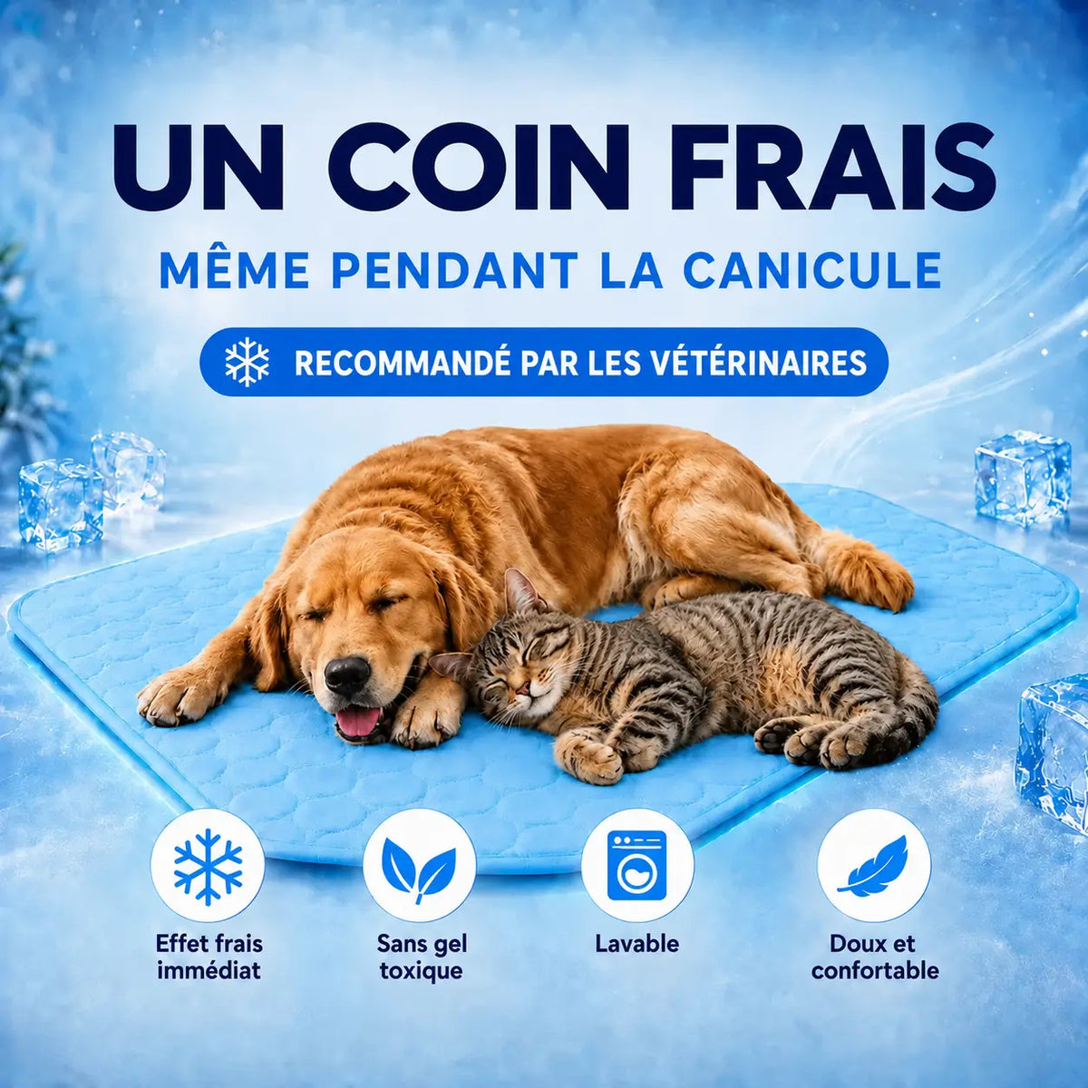 Tapis Rafraîchissant pour Chien & Chat