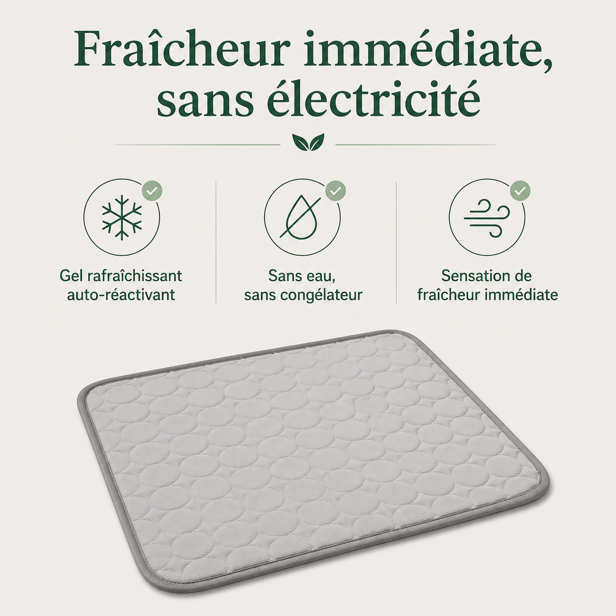 Tapis Rafraîchissant pour Chien & Chat — caractéristiques principales