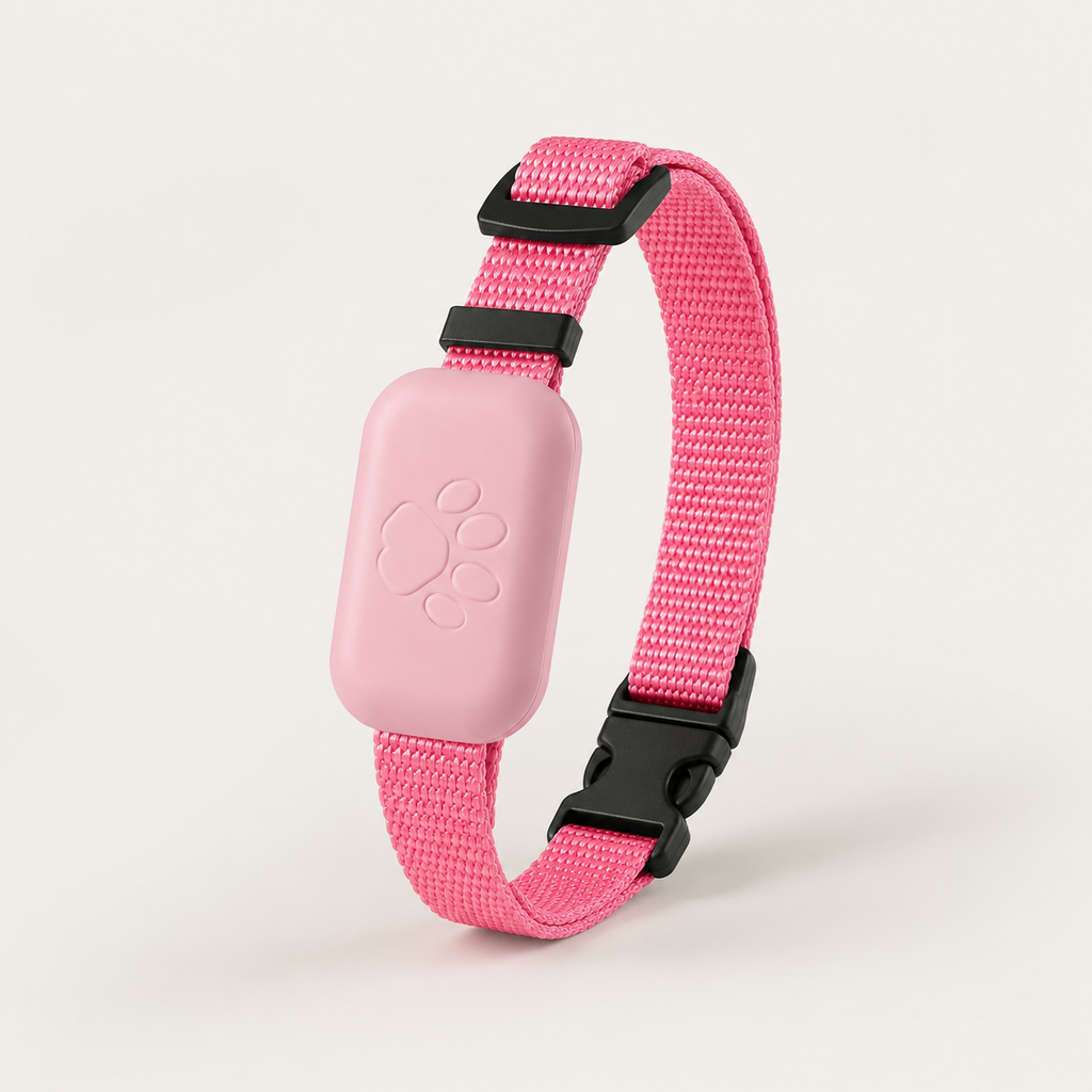 Traceur GPS pour Chien & Chat